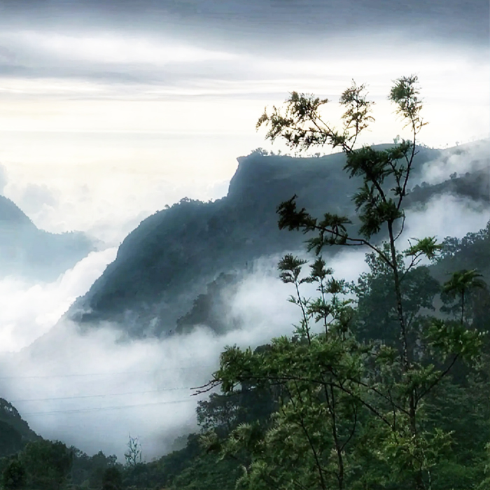 Tungsung View Point